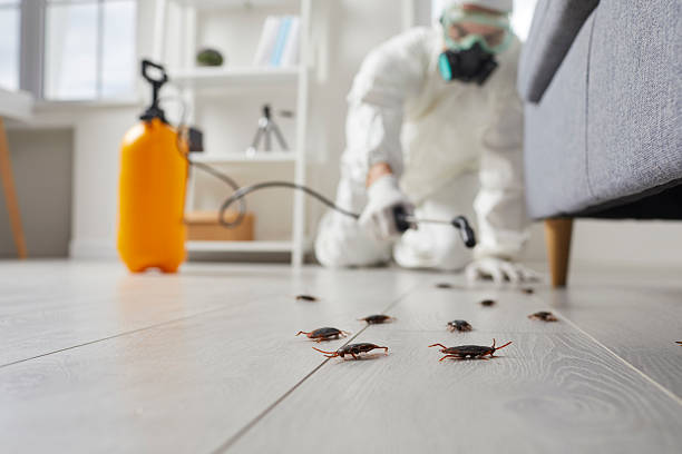 Commercial Kitchen Cockroach Control in Birch Run